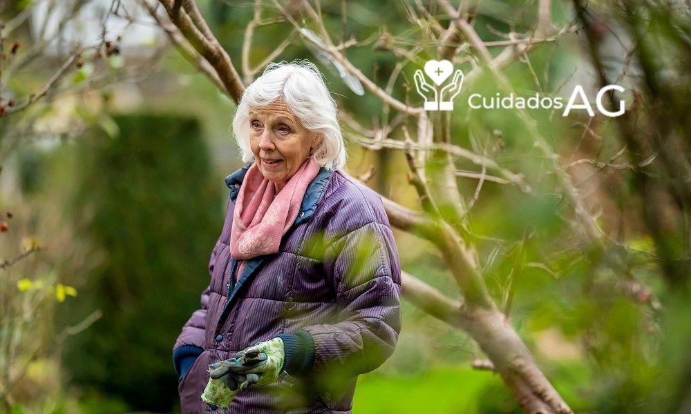 Cuidado de personas mayores a domicilio en Madrid